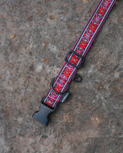 Carn Dearg Dog Buckle Collar