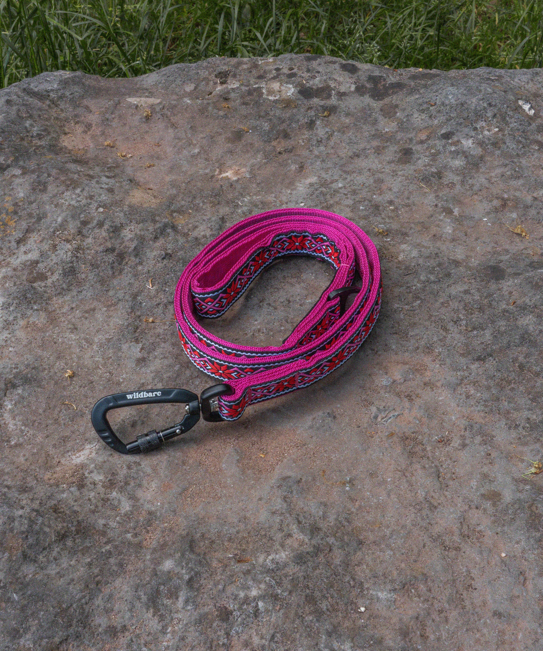 carn-dearg-dog-lead-compact.jpg