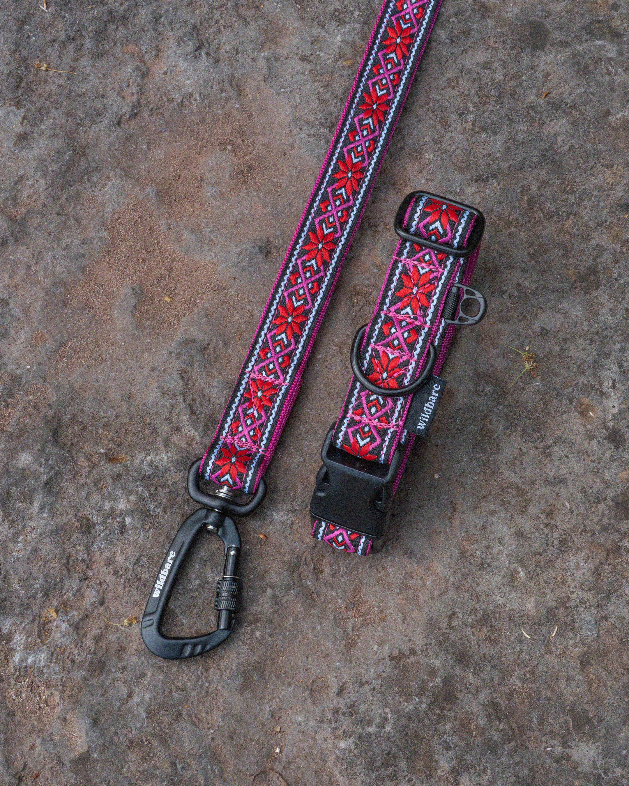 Carn Dearg Dog Buckle Collar