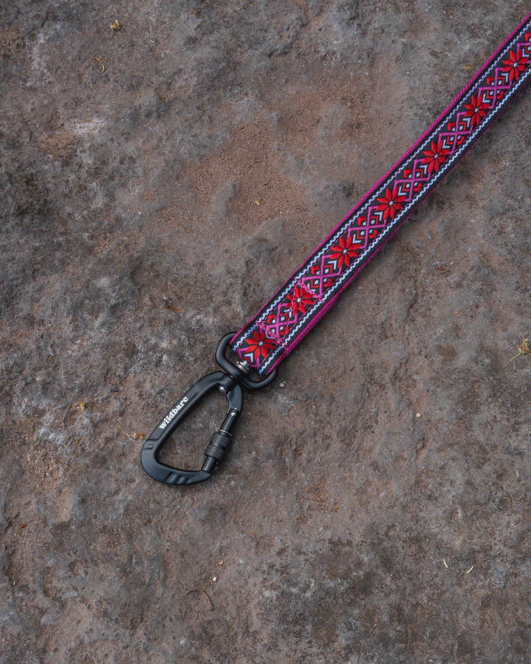 Carn Dearg Dog Lead
