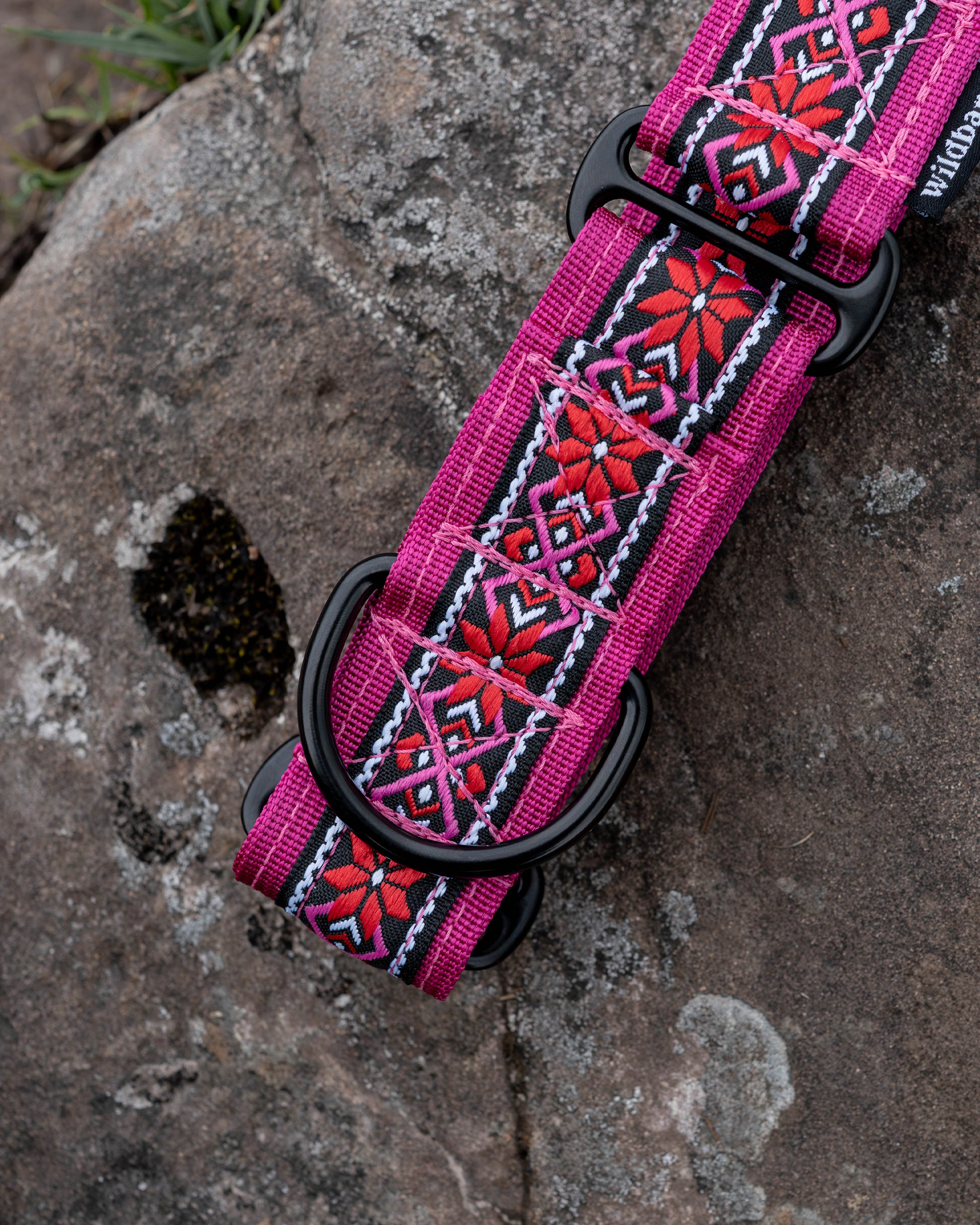 Carn Dearg Martingale Dog Collar