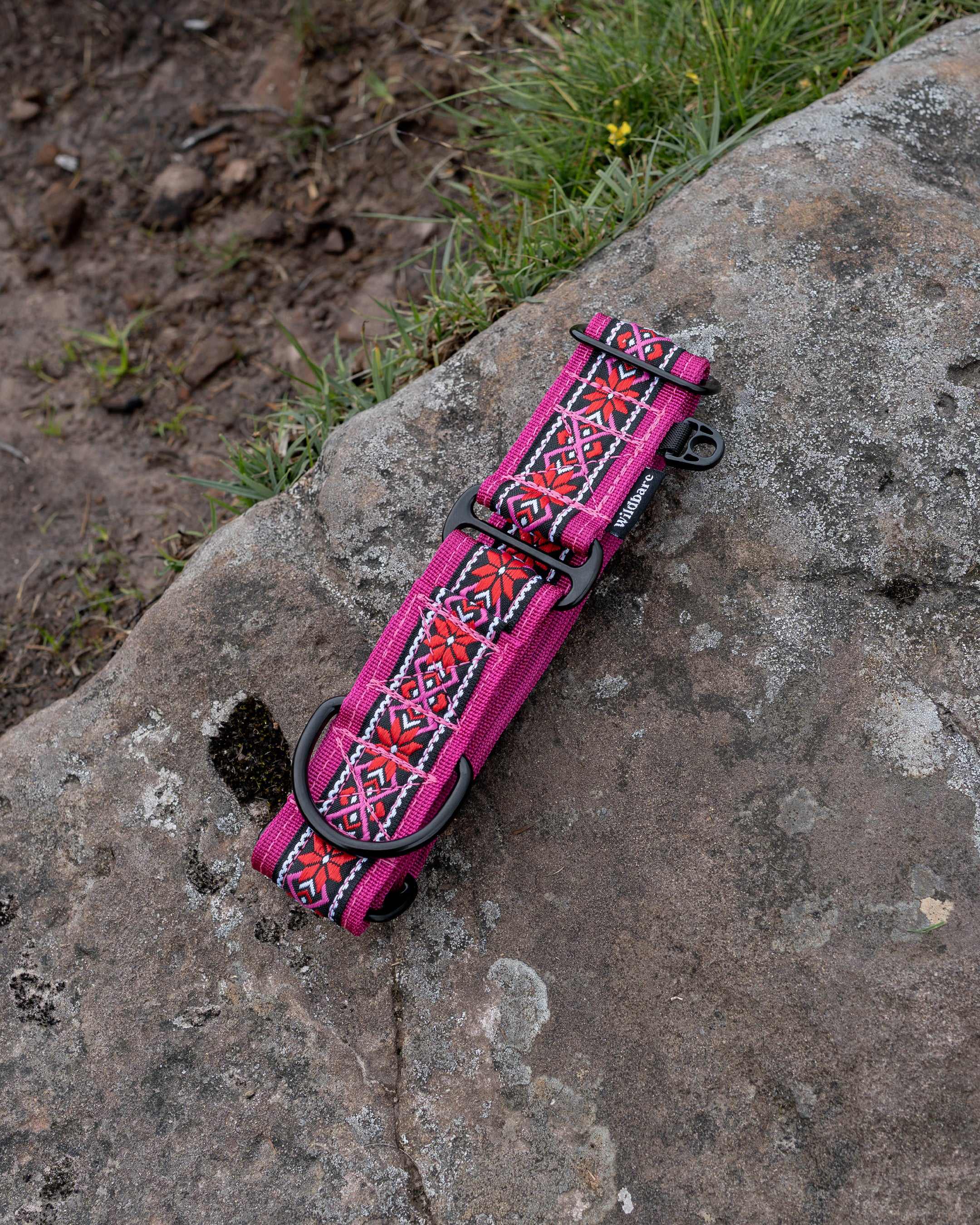 Carn Dearg Martingale Dog Collar