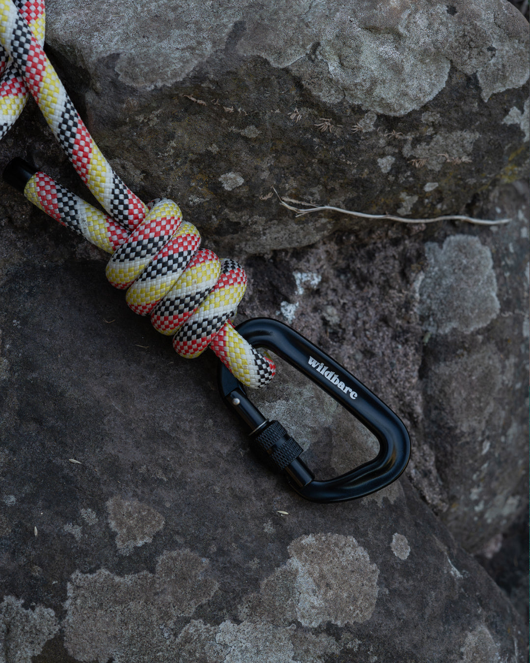Repurposed Cellan Climbing Rope Dog Lead