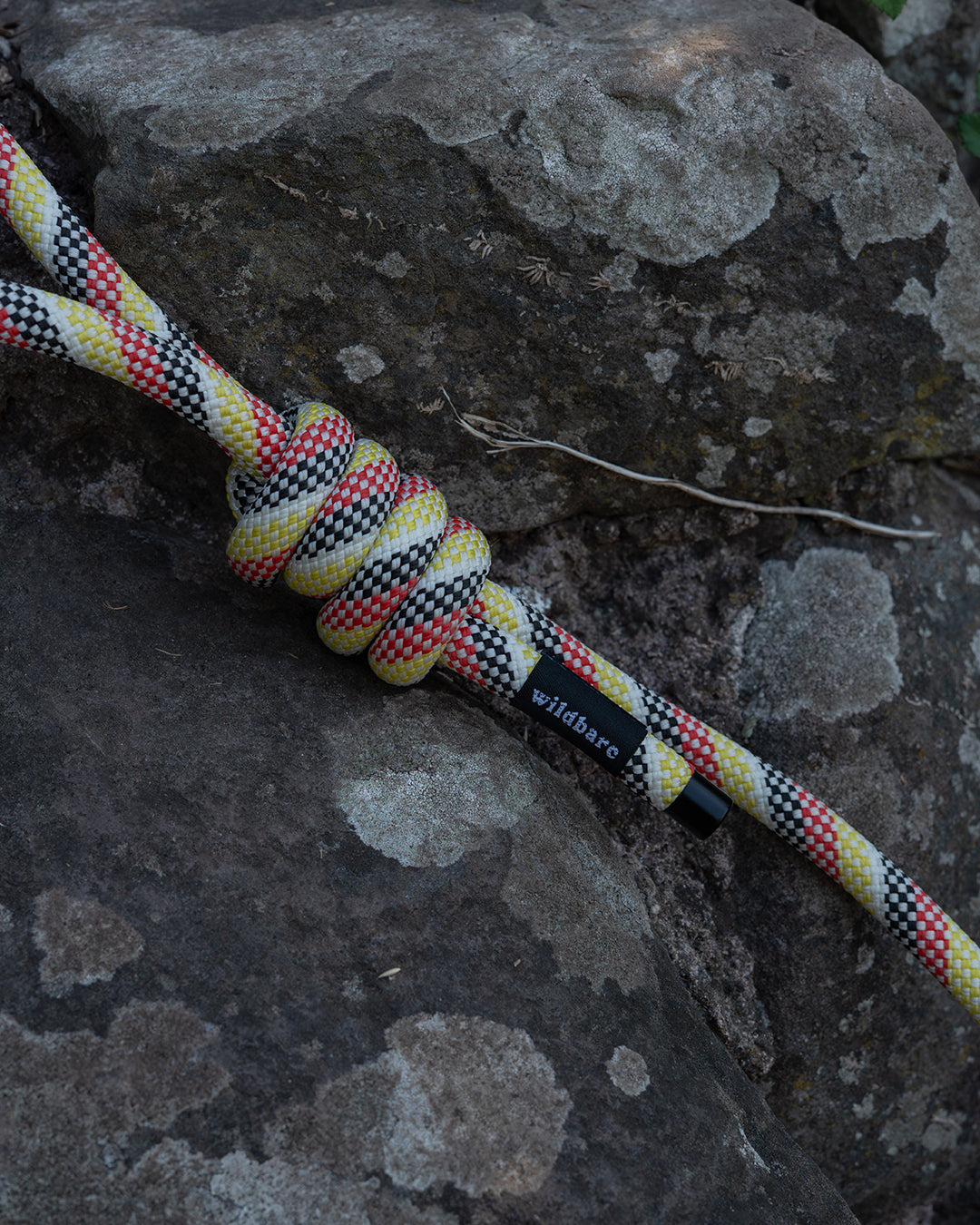 Repurposed Cellan Climbing Rope Dog Lead