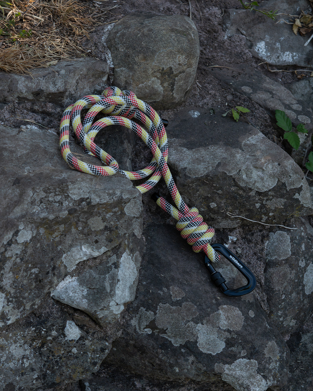 Repurposed Cellan Climbing Rope Dog Lead