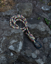 Repurposed Cellan Climbing Rope Dog Lead