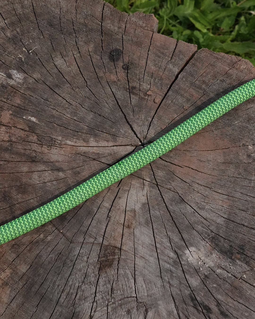 Chirk: Recycled Dog Lead