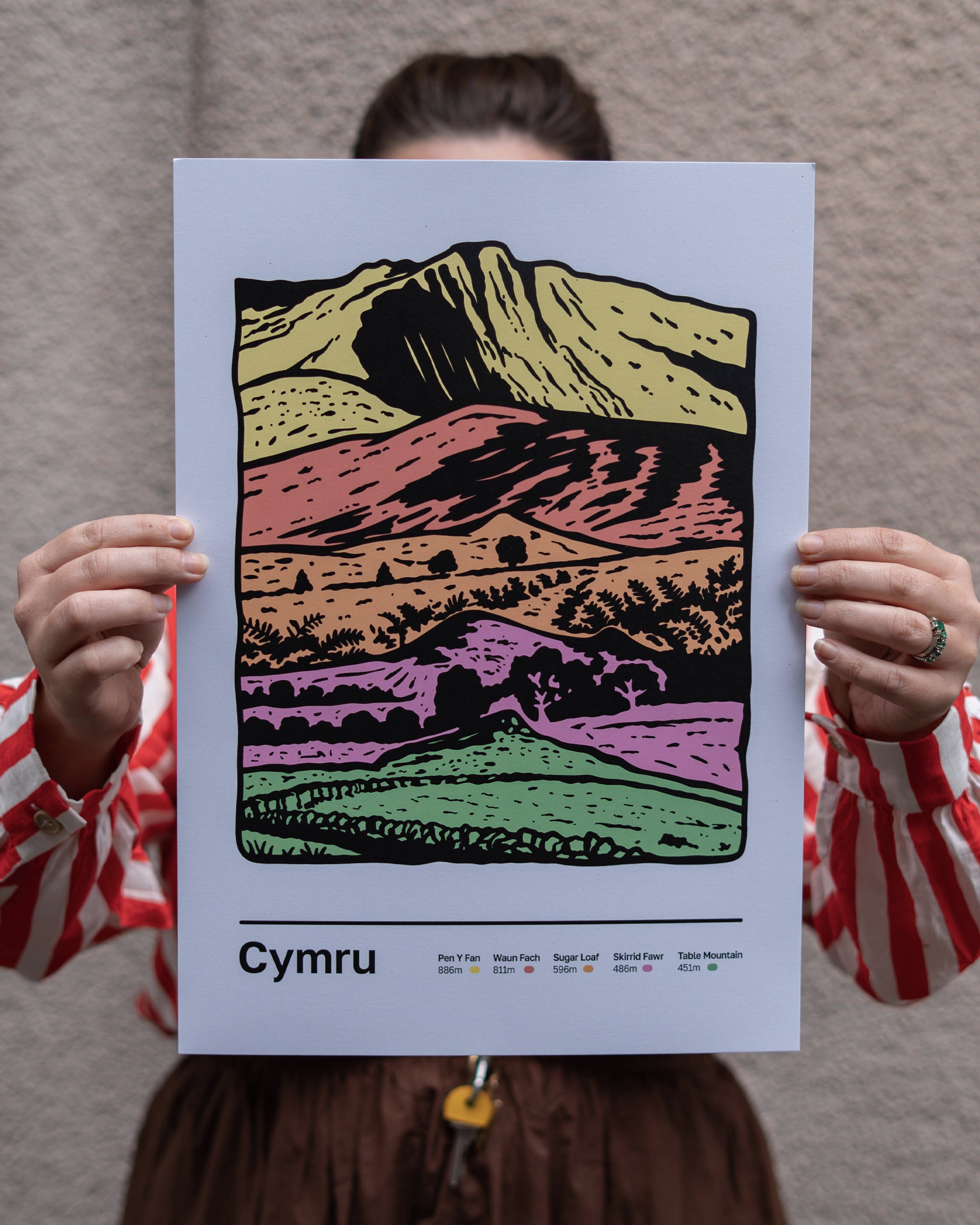 Cymru Mountains A3 Art Print