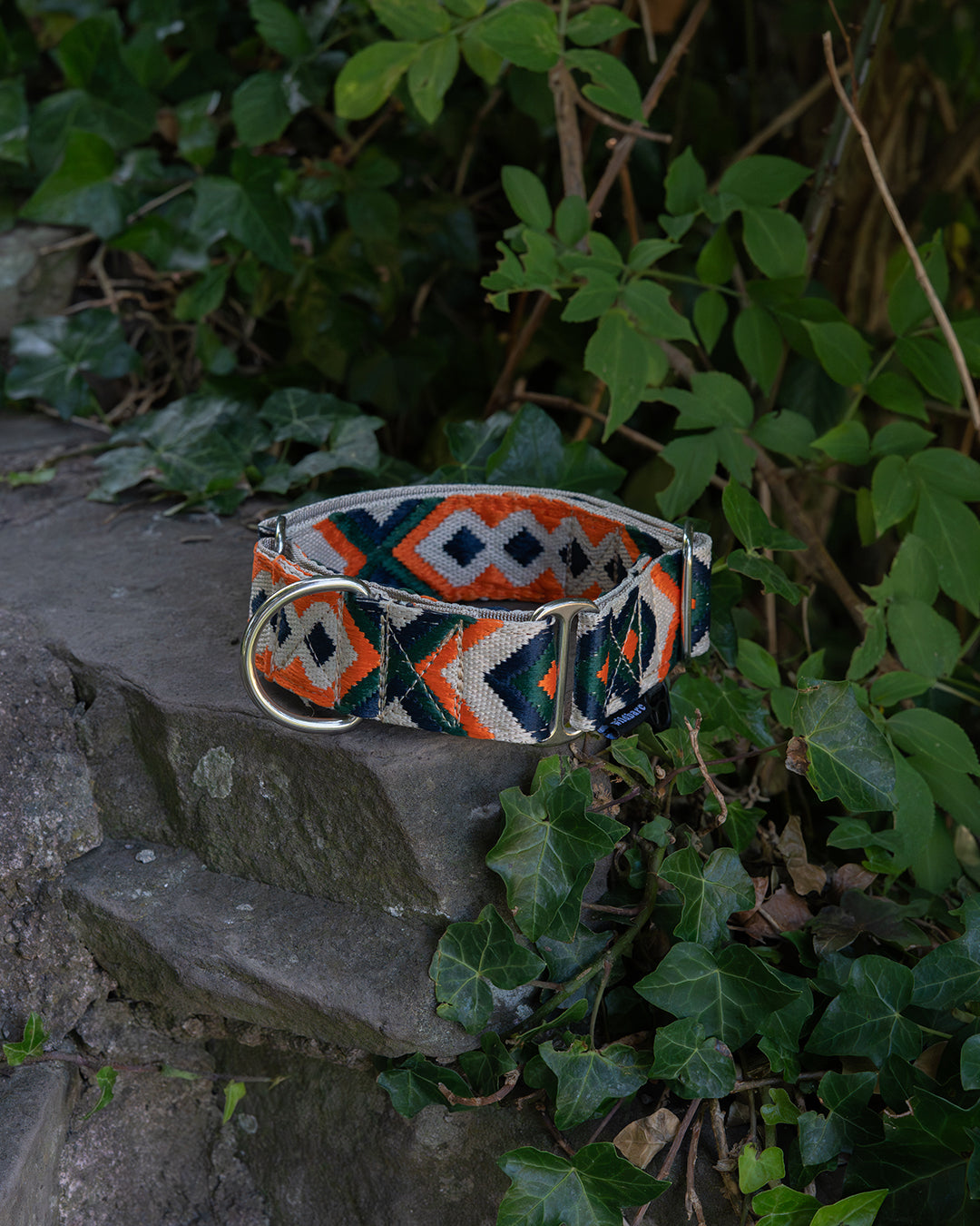 Daear Martingale Dog Collar