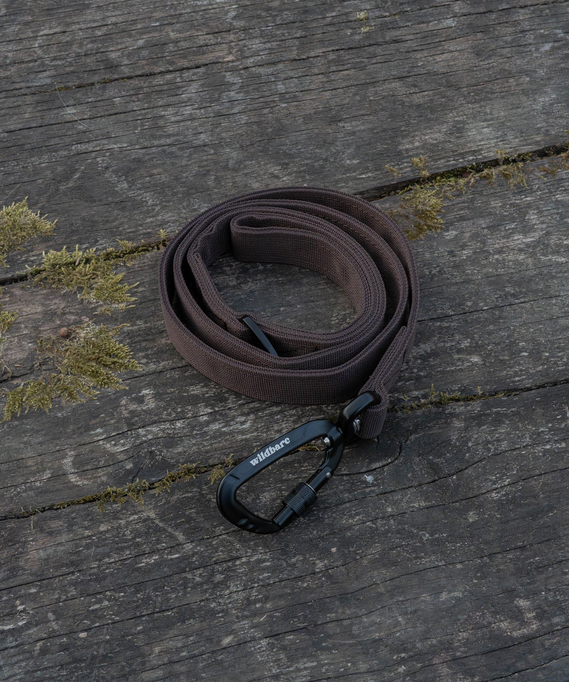dark-brown-dog-lead-1.jpg