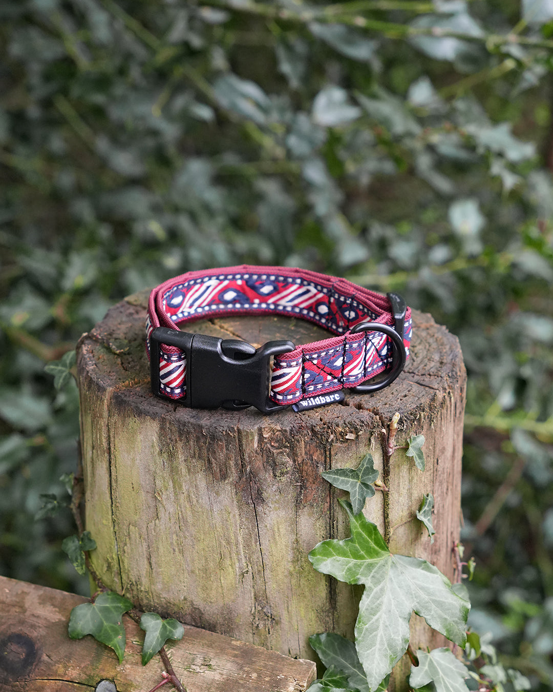 Denali Dog Collar