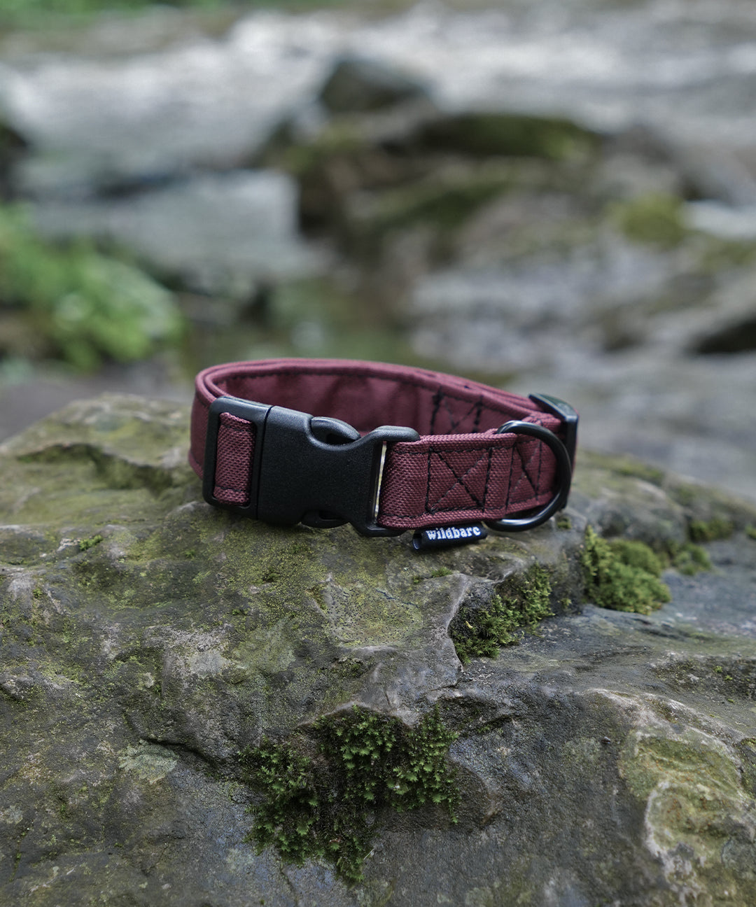 dog-collar-burgundy_18d1eea3-816a-48be-a2e0-7e9ac3ad86f3.jpg