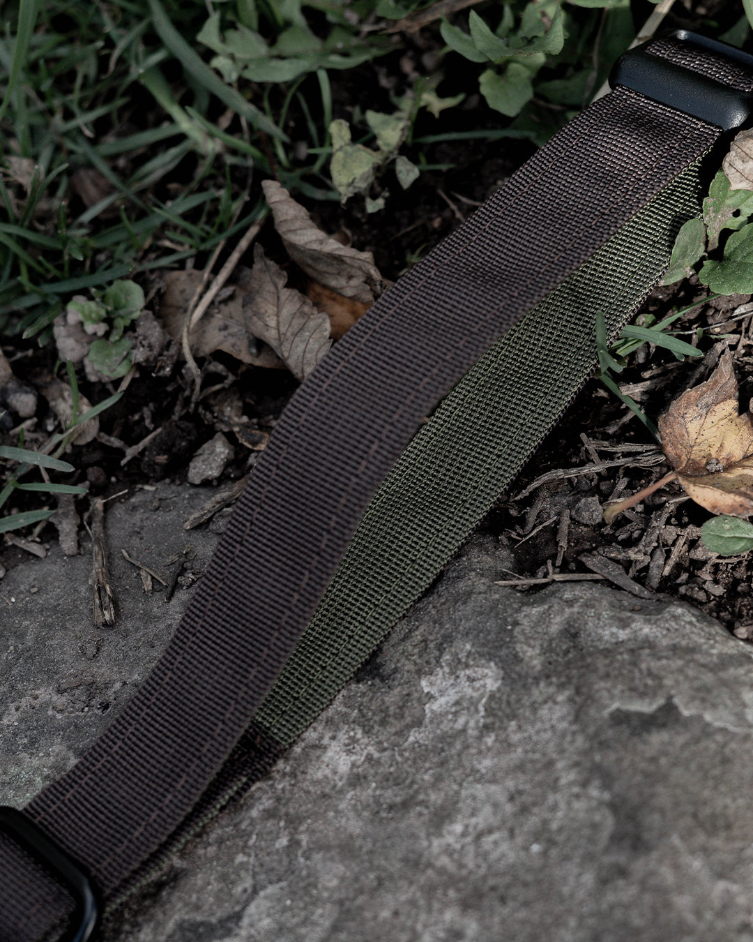 Hiraeth Land Buckle Dog Collar