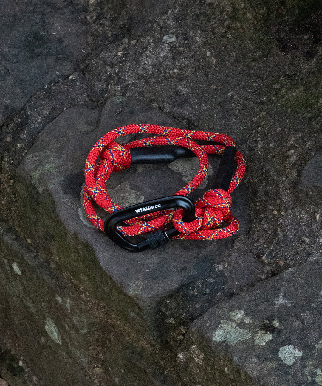 dwynwen-strong-dog-lead.jpg