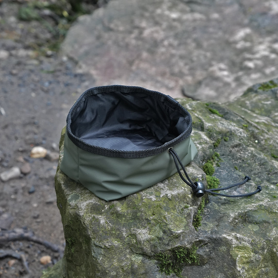 eryri-travel-dog-bowl.jpg