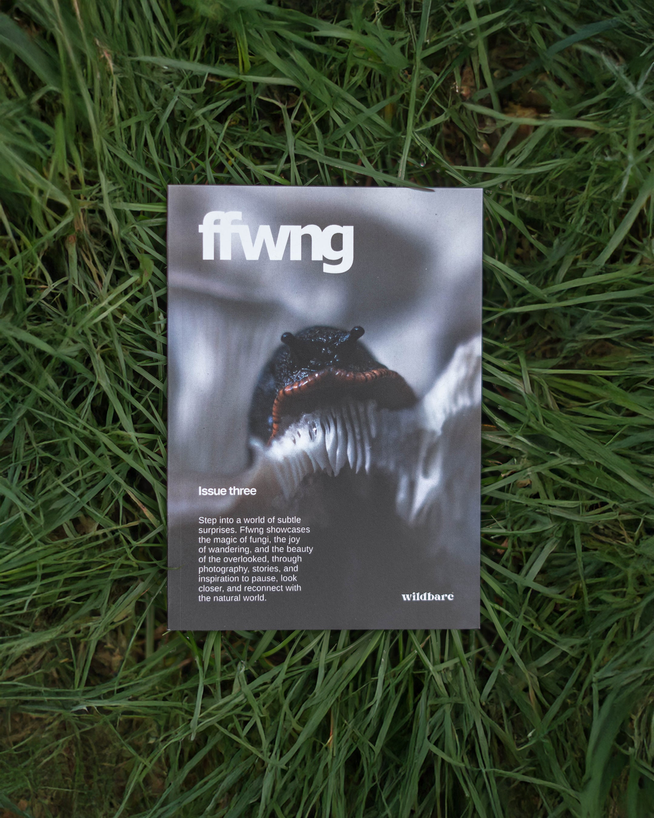 Ffwng Photography Zine Three