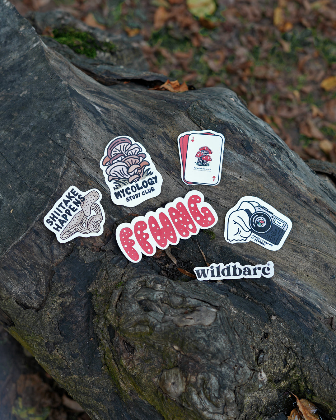 Ffwng (fungus) Sticker Pack