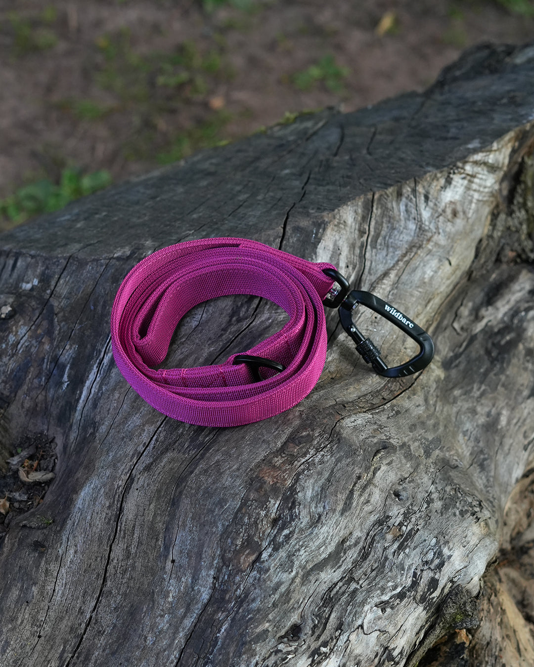 Wildbarc | Shop Our Collection of Dog Collars, Martingales, Leads