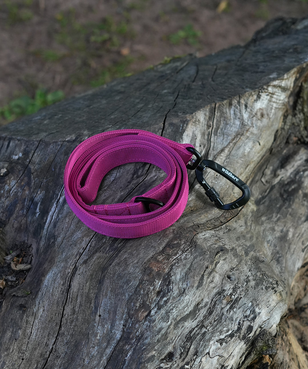 flat-lead-one_1145bc33-20c5-4f7d-b4a0-8013a0e9e9d9.jpg