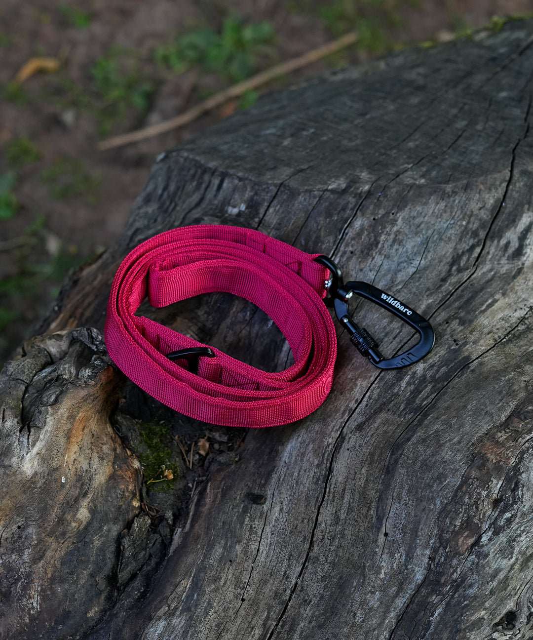 flat-lead-one_f6fd5f5e-71e3-4f8d-baad-ac69ed74d31a.jpg