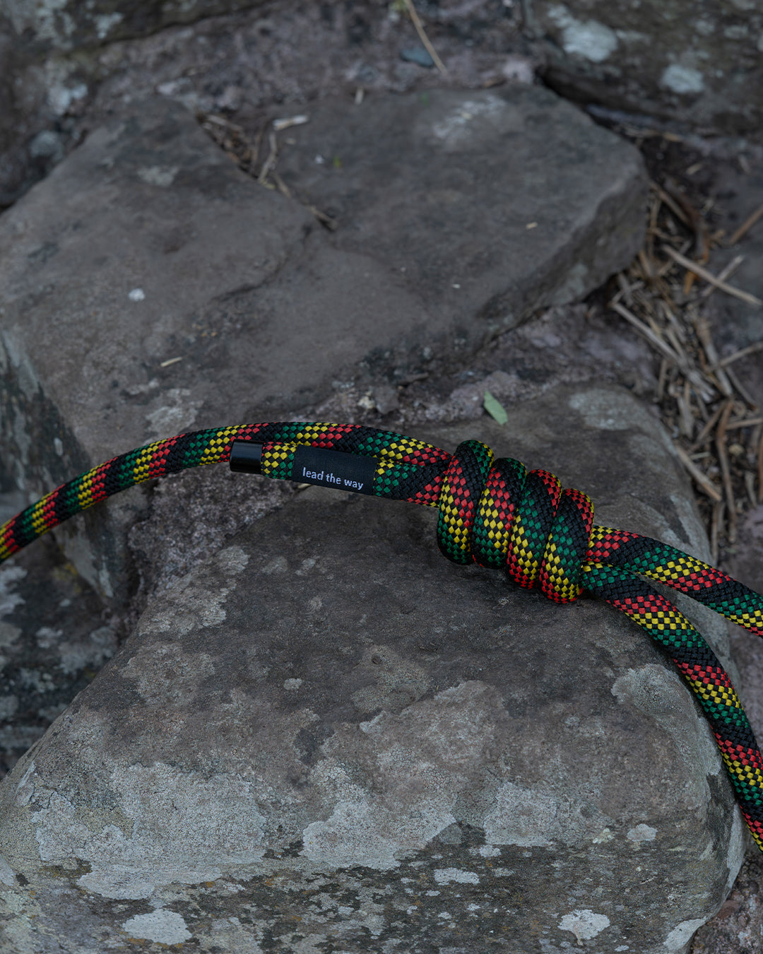 Repurposed Glasgwm Climbing Rope Dog Lead