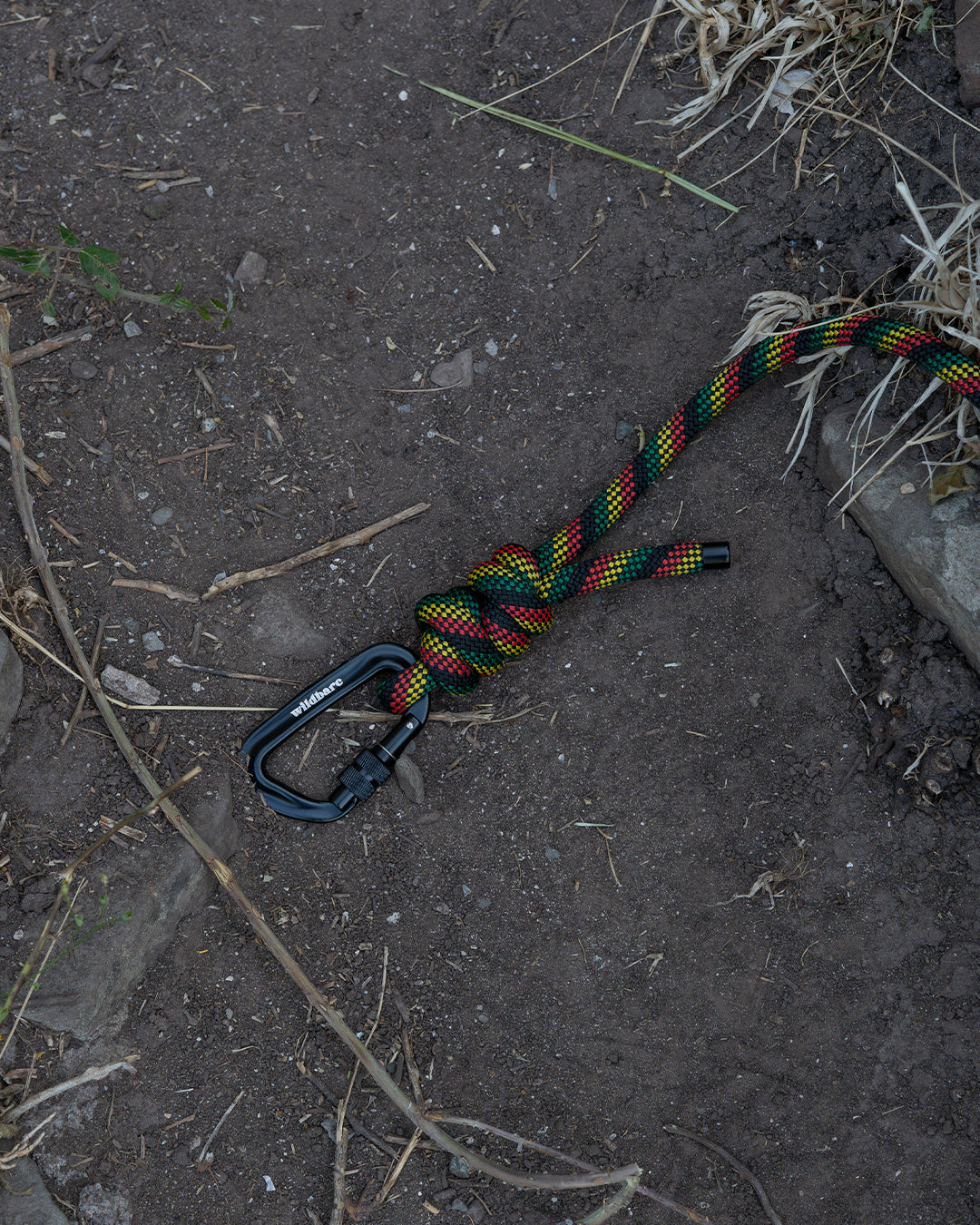 Repurposed Glasgwm Climbing Rope Dog Lead