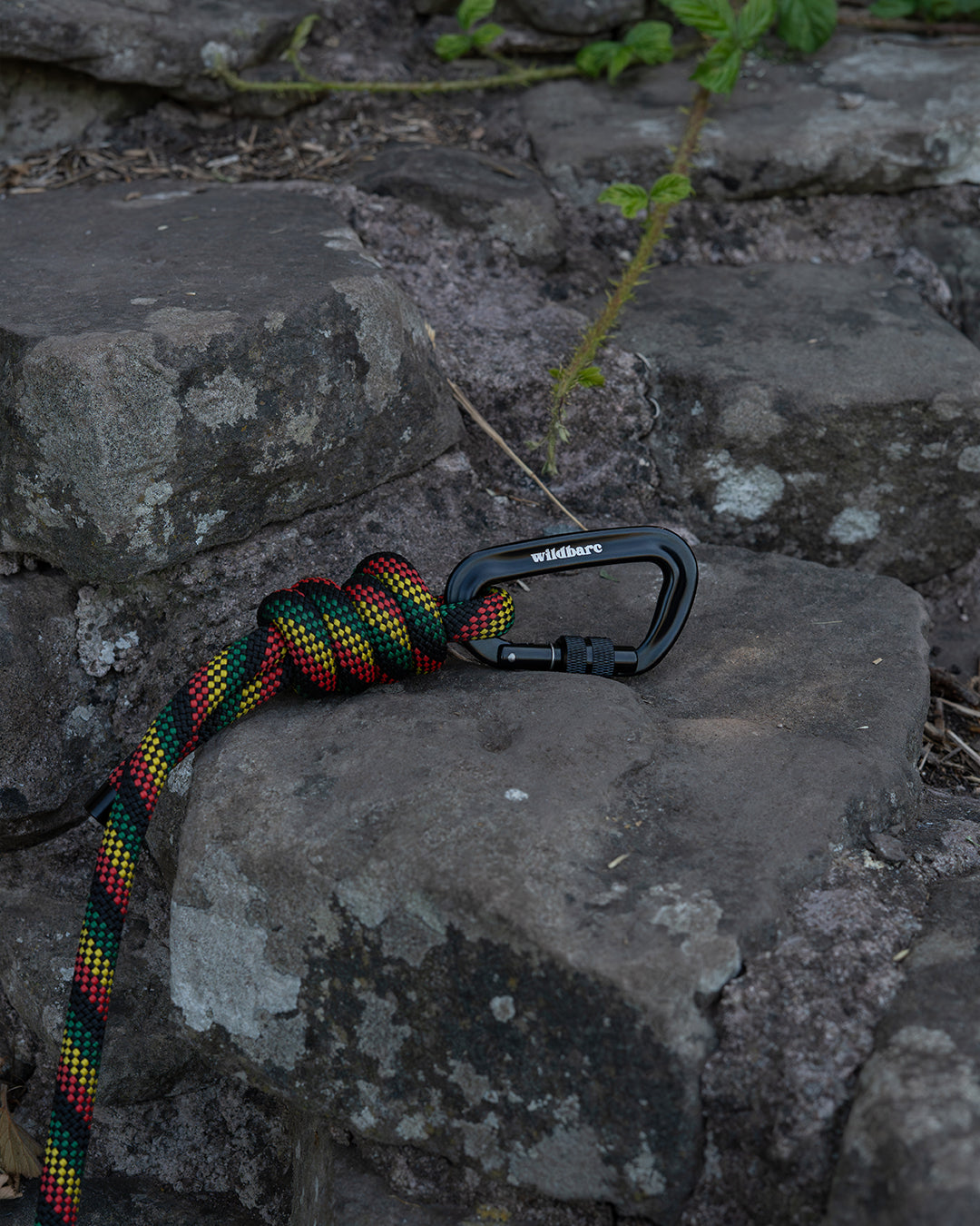 Repurposed Glasgwm Climbing Rope Dog Lead