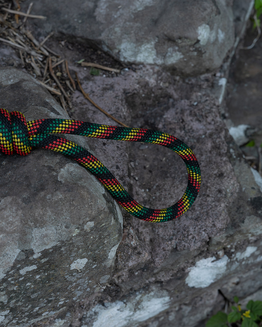 Repurposed Glasgwm Climbing Rope Dog Lead