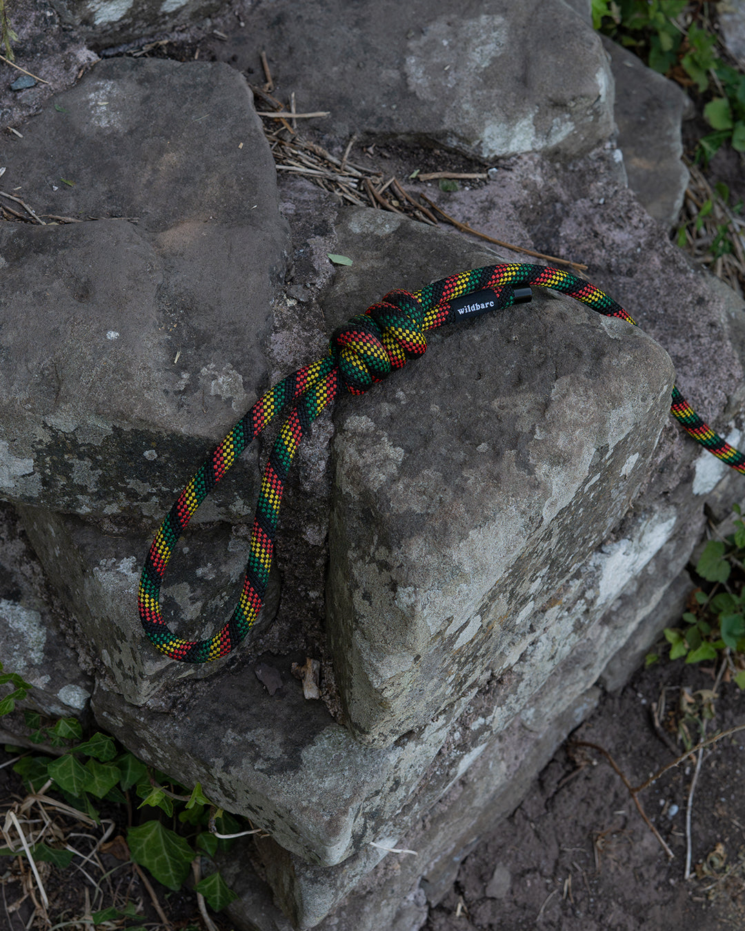 Repurposed Glasgwm Climbing Rope Dog Lead