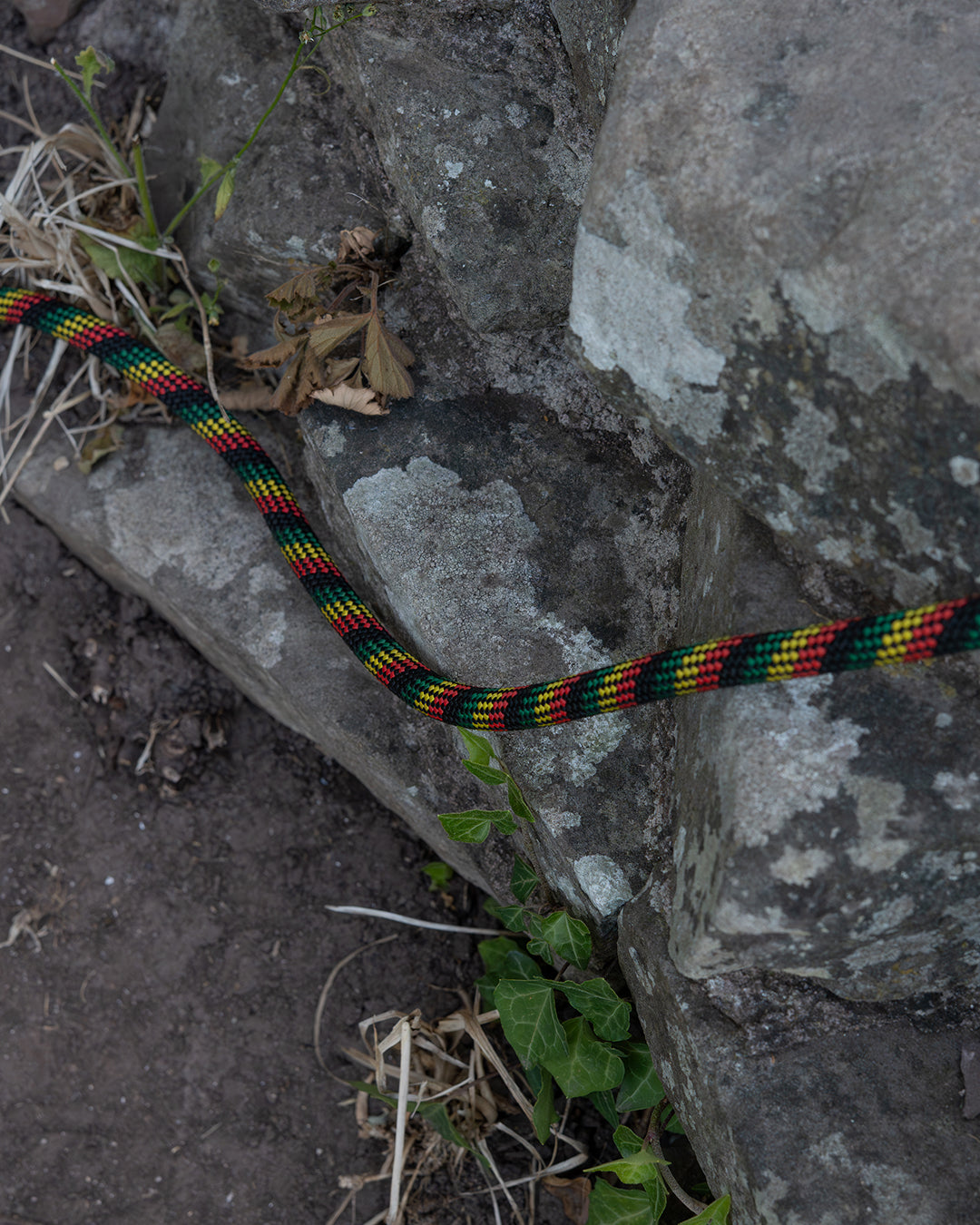 Repurposed Glasgwm Climbing Rope Dog Lead