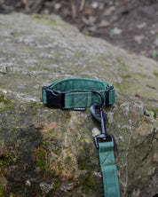 Green Canvas Collar