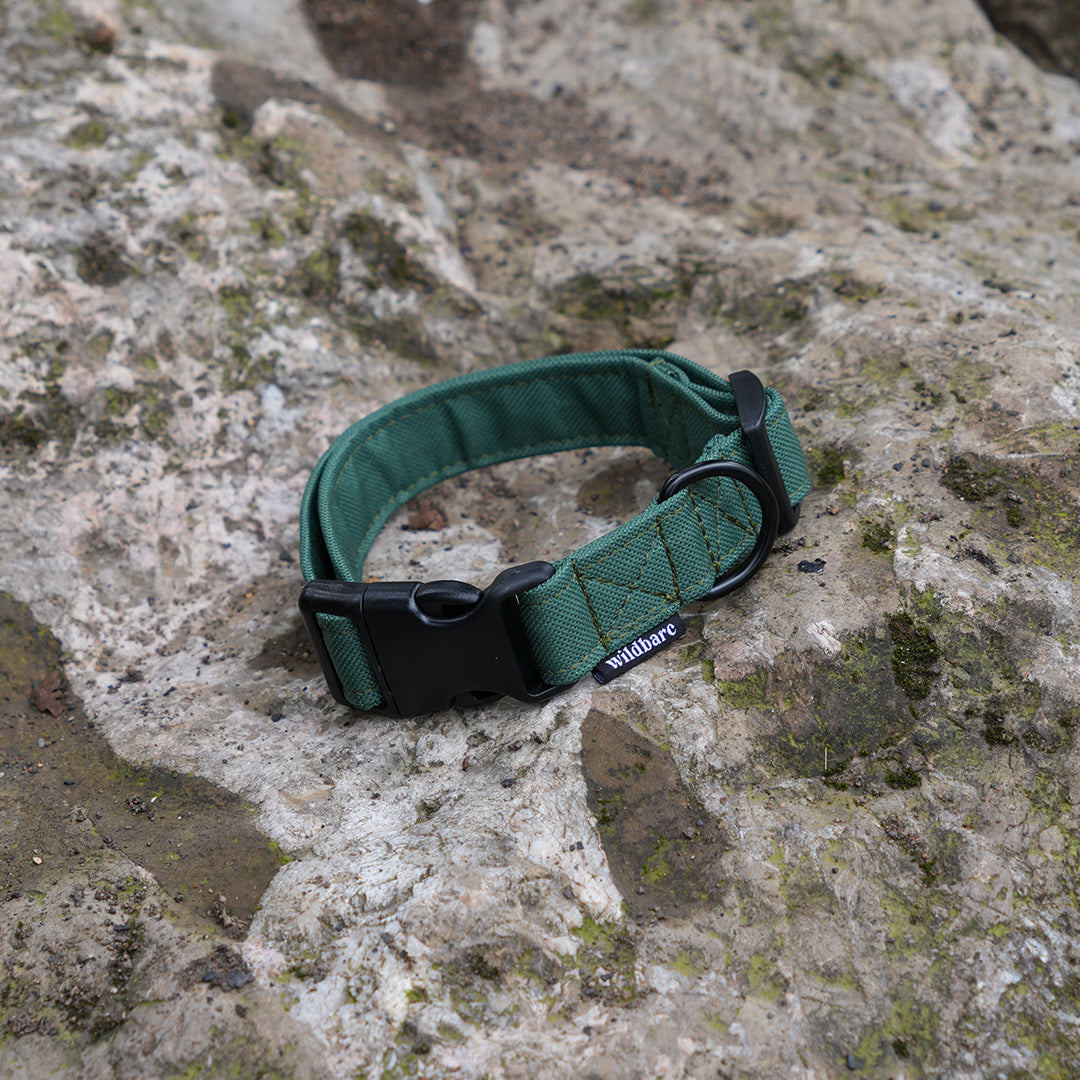 green-collar.jpg