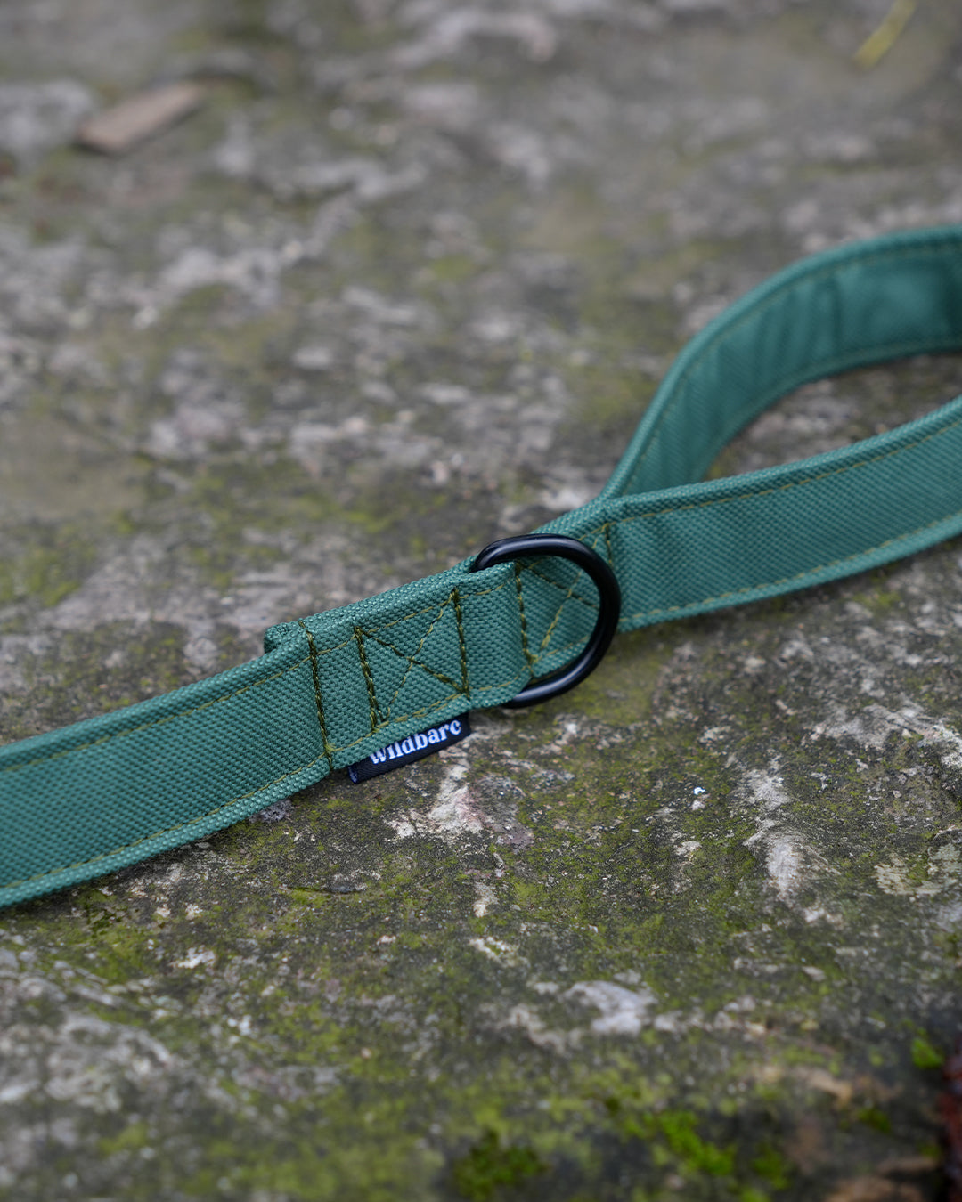 Green Canvas Lead