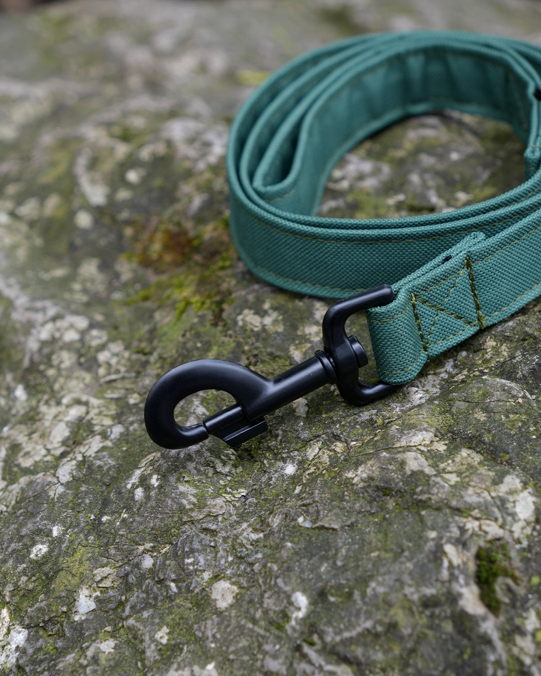 Green Canvas Lead