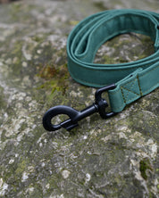 Green Canvas Lead