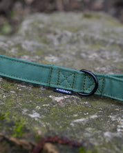 Green Canvas Lead