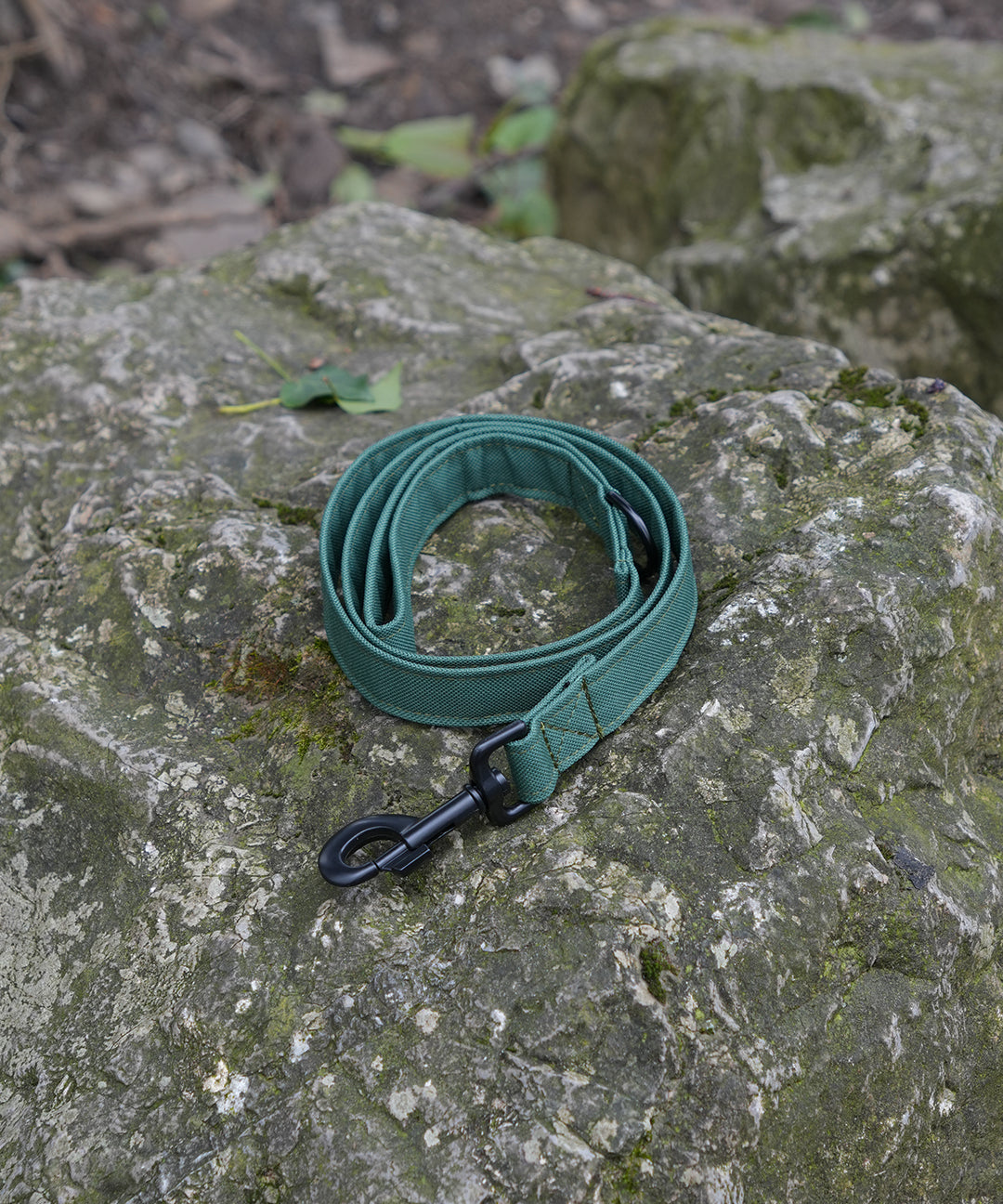 green-lead.jpg
