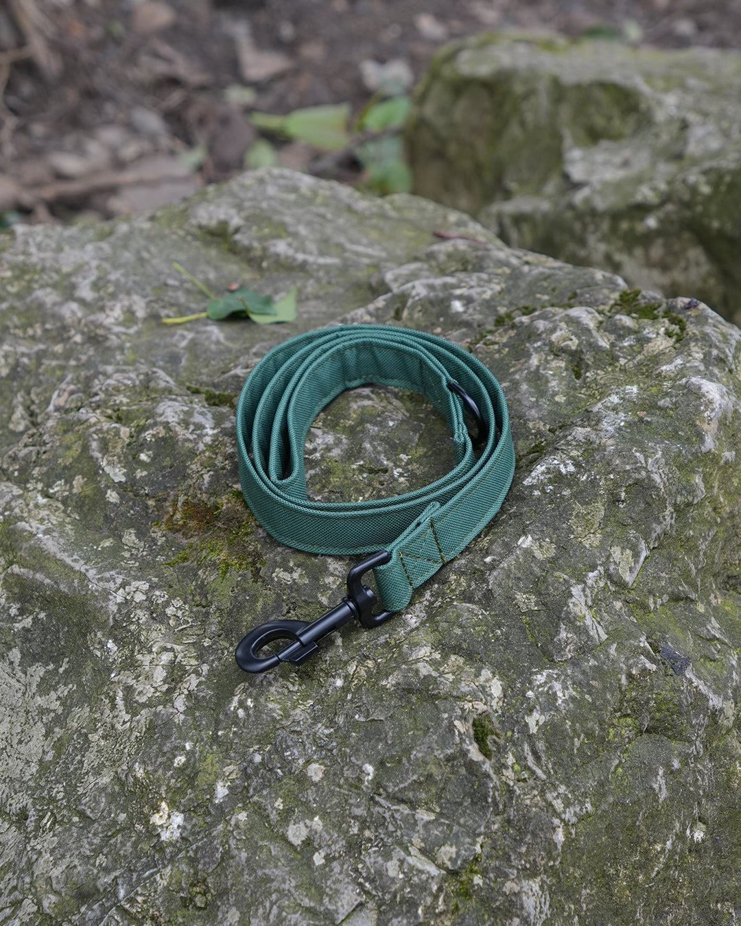 Green Canvas Lead