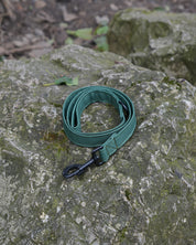 Green Canvas Lead