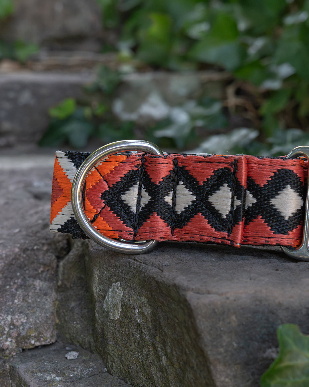 Haul Martingale Dog Collar