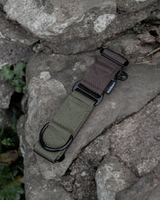 Hiraeth Earth Martingale Dog Collar