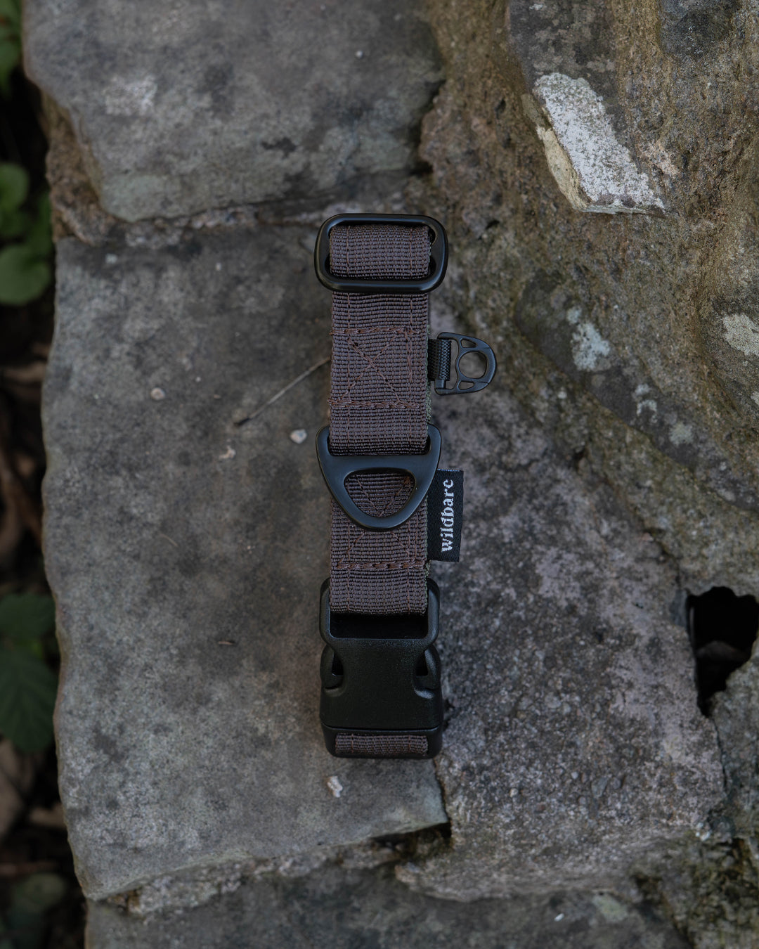 Hiraeth Land Buckle Dog Collar