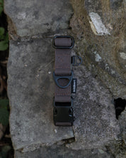 Hiraeth Land Buckle Dog Collar