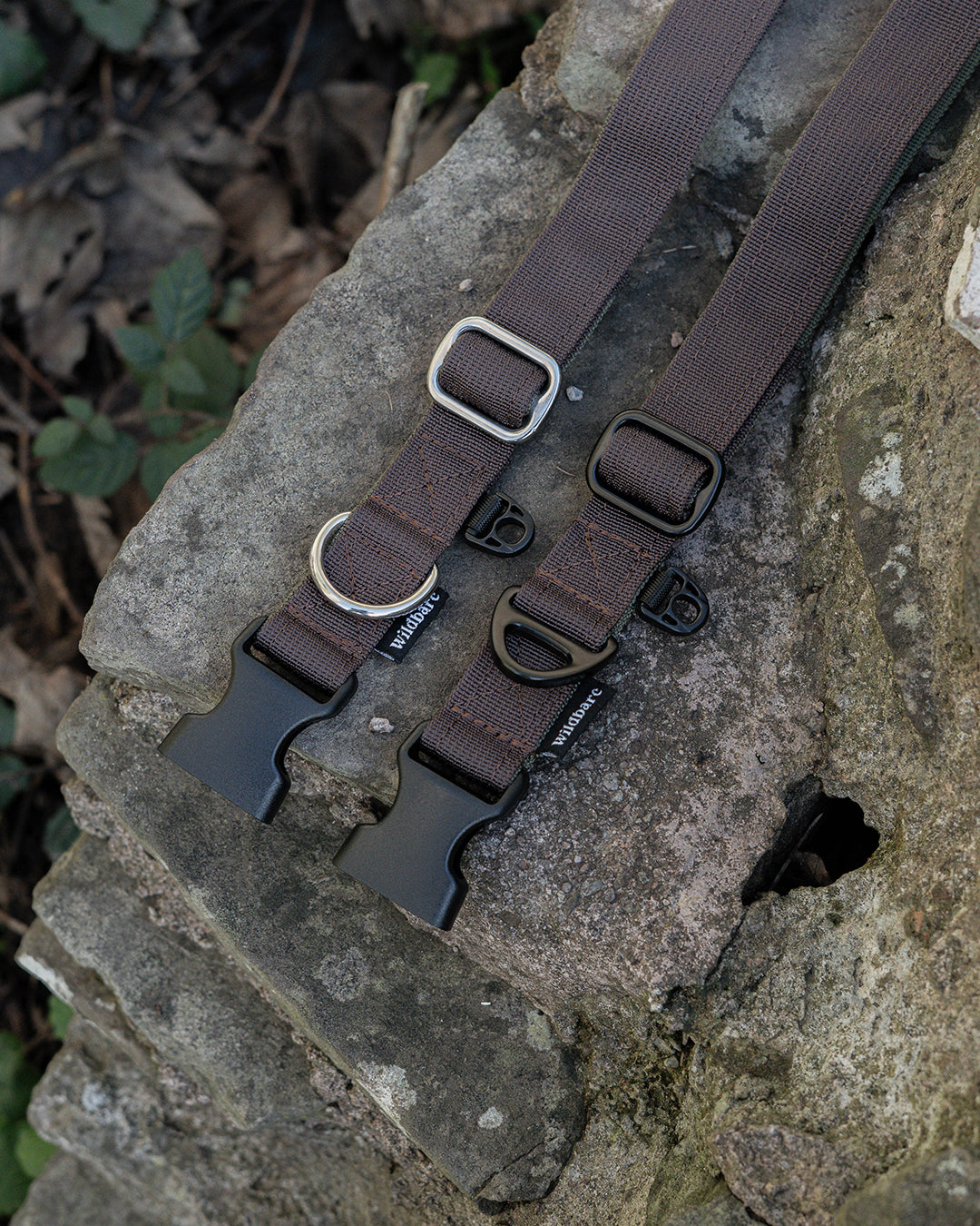 Hiraeth Land Buckle Dog Collar