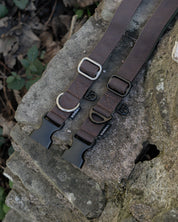 Hiraeth Land Buckle Dog Collar