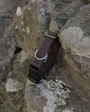 Hiraeth Land Buckle Dog Collar