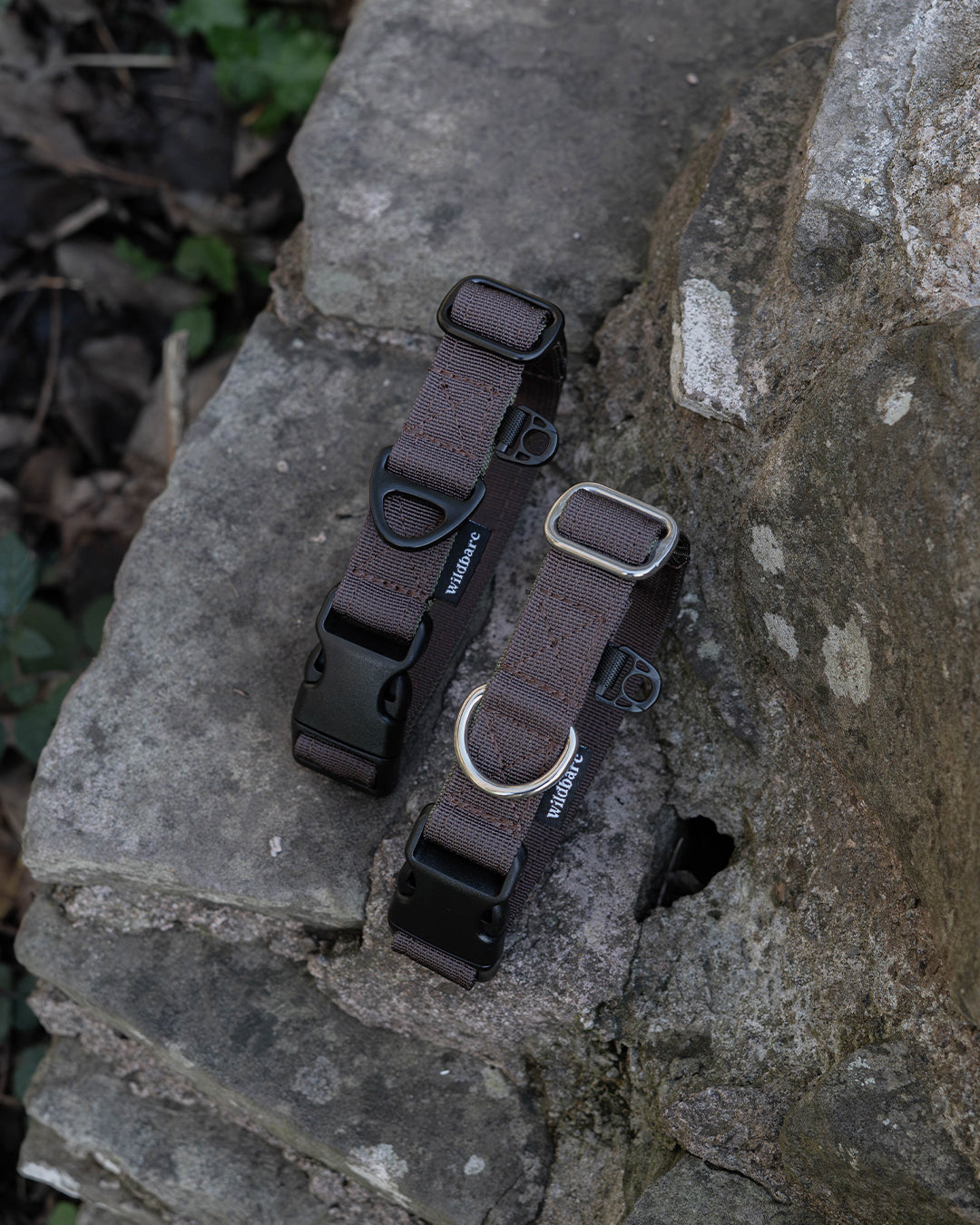 Hiraeth Land Buckle Dog Collar