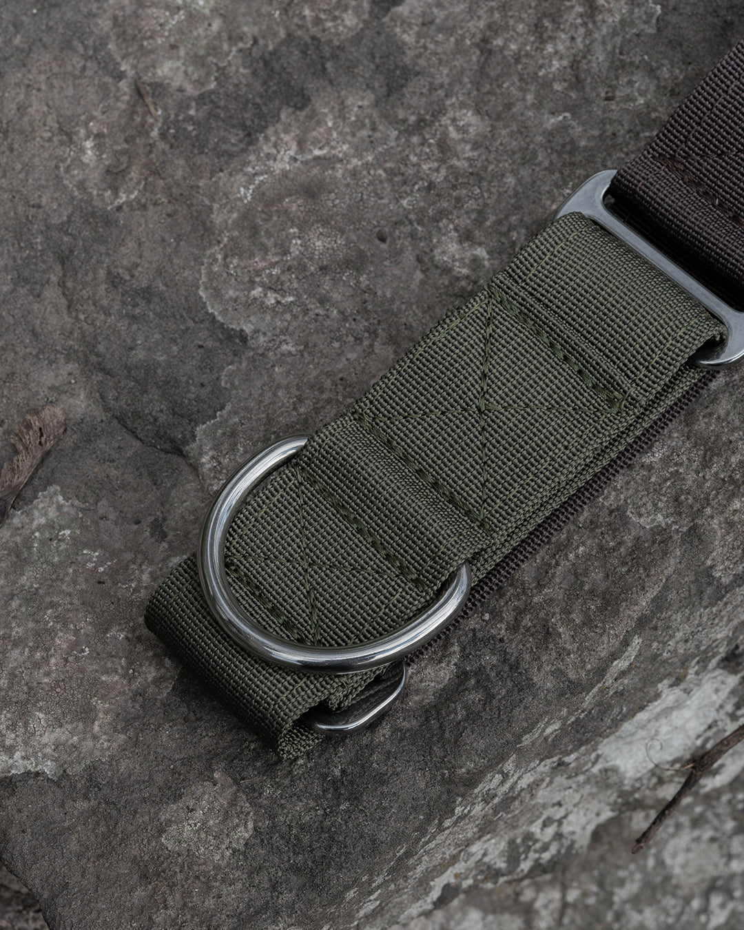 Hiraeth Earth Martingale Dog Collar