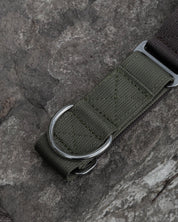 Hiraeth Earth Martingale Dog Collar