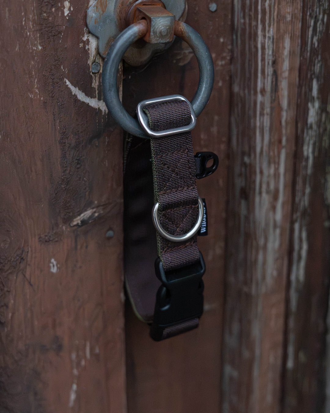 Hiraeth Land Buckle Dog Collar